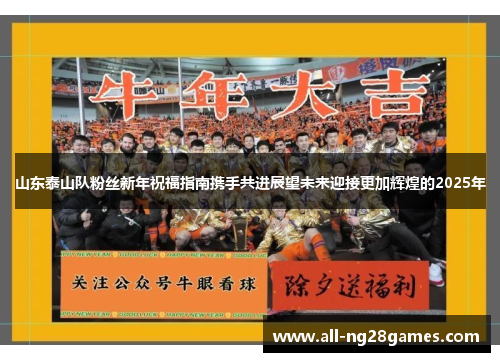 山东泰山队粉丝新年祝福指南携手共进展望未来迎接更加辉煌的2025年