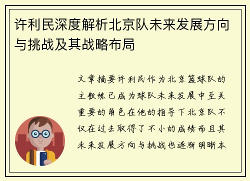 许利民深度解析北京队未来发展方向与挑战及其战略布局