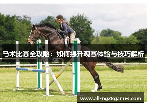 马术比赛全攻略：如何提升观赛体验与技巧解析