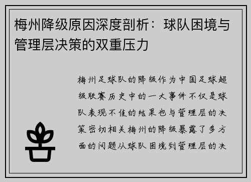 梅州降级原因深度剖析：球队困境与管理层决策的双重压力